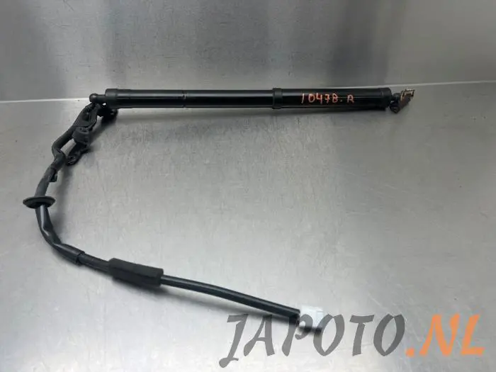 Rear gas strut, right Toyota Rav-4