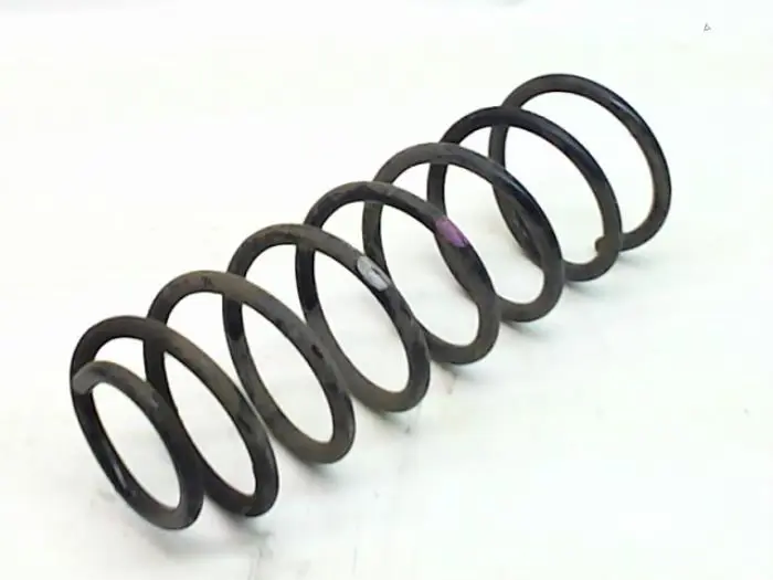 Rear coil spring Chevrolet Aveo