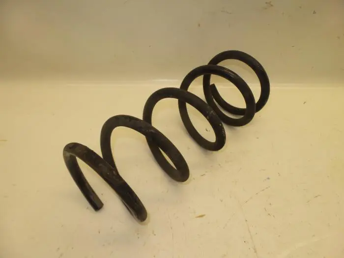 Rear coil spring Nissan 350 Z