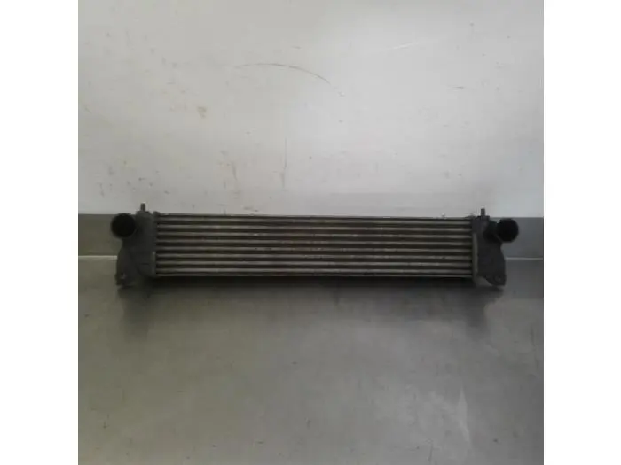 Intercooler Suzuki SX-4